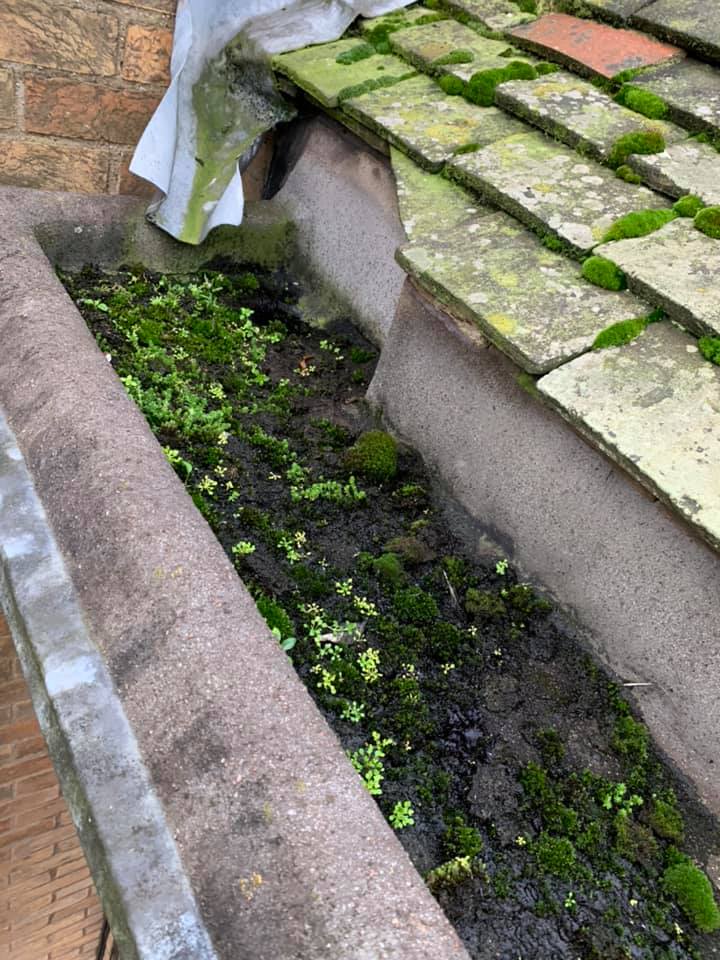 gutter cleaning service before cambridge