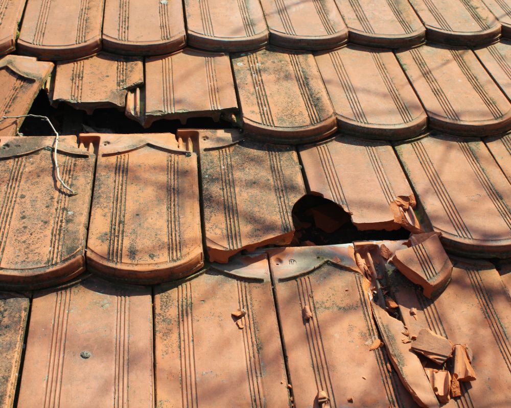 roof repair company cambridge